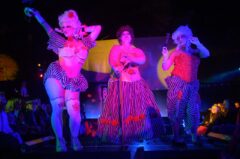 Photos by Michael Troutman (344/365)